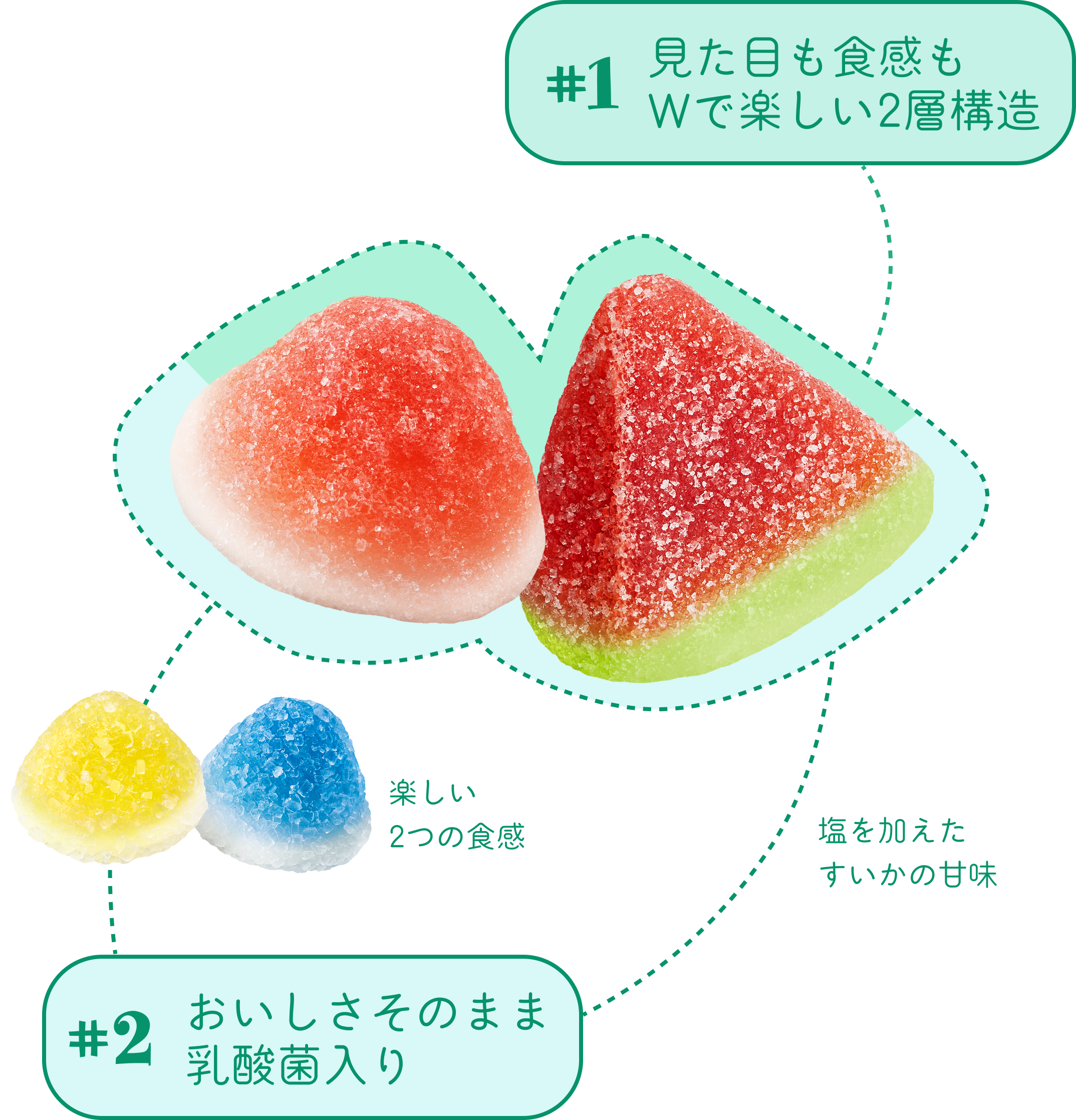 見た目も食感もWで楽しい2層構造、おいしさそのまま乳酸菌入り